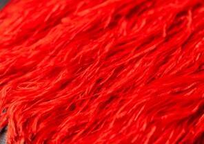 untitled (202 of 226)